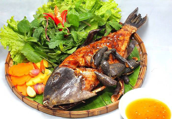 Cá Bò Giáp Nướng Y