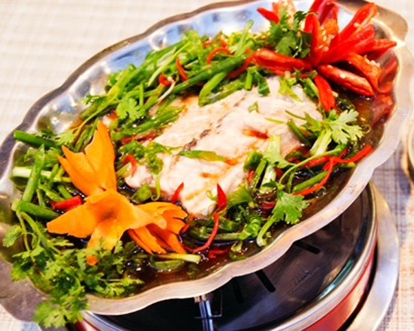 Cá Tầm Hấp Hong Kong