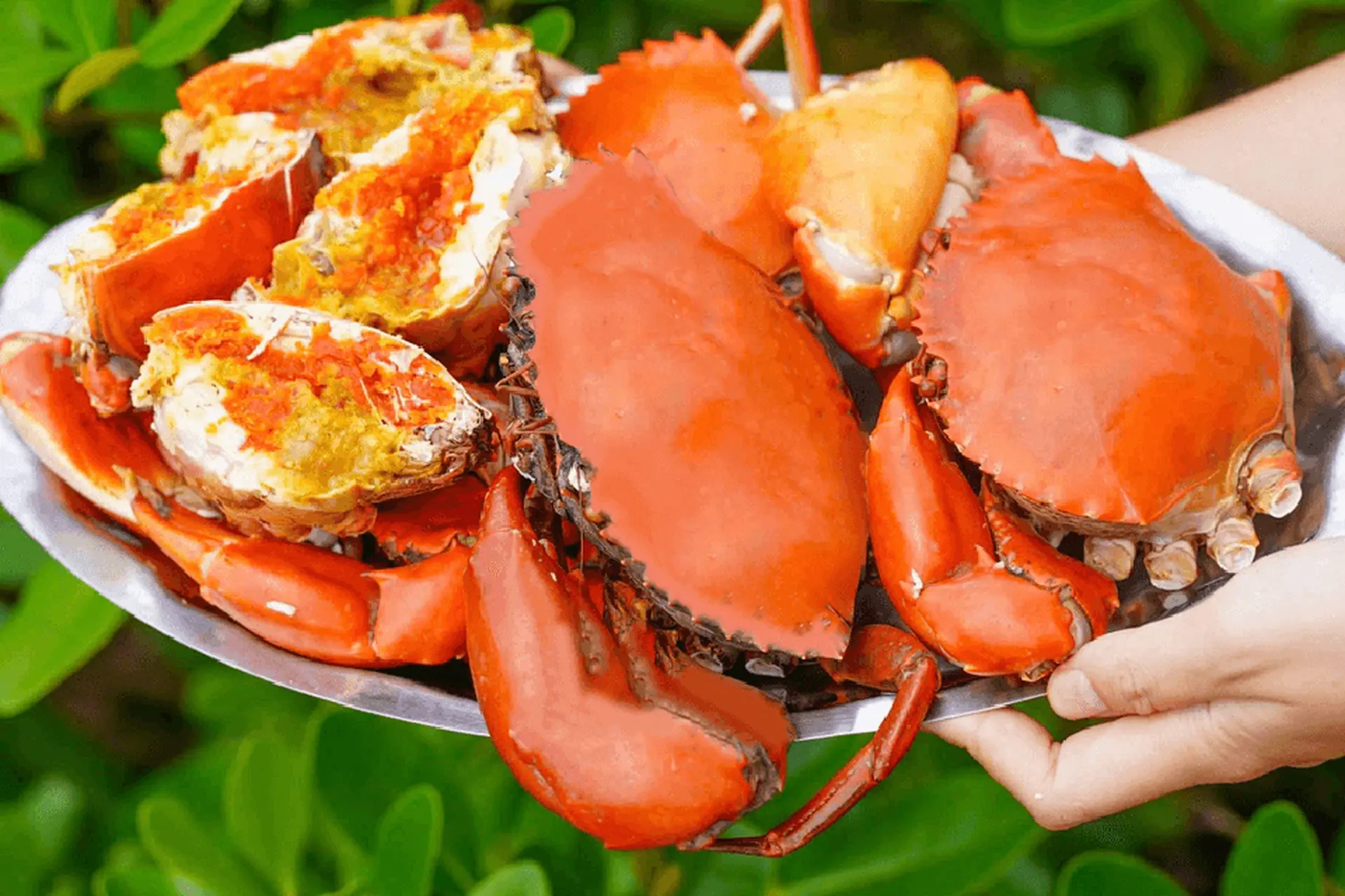 Cua Thịt/Gạch Hấp